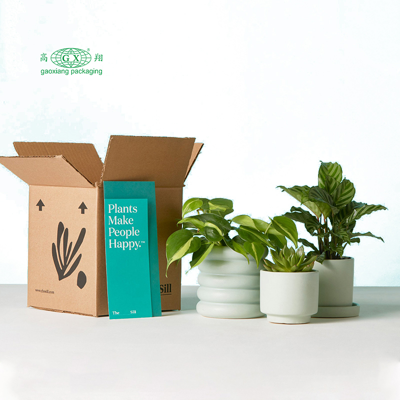 Emballage de boîte de papier de fleurs de plantes plates ondulées recyclables personnalisées sur mesure