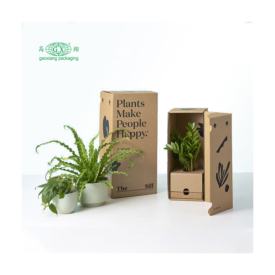 Artisanat en carton plat ondulé personnalisé boîtes personnalisées plantes cadeaux emballage de boîte en papier